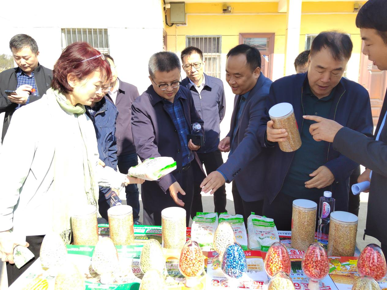 圖片1.png 圖片1.png