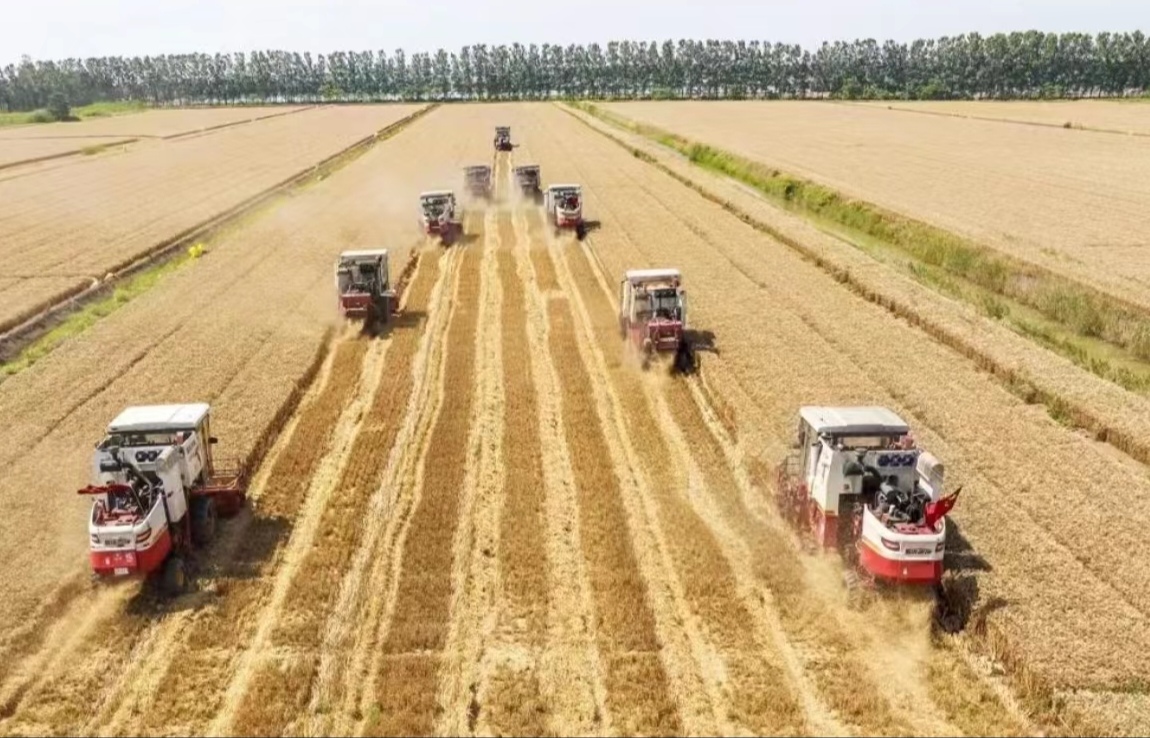 mmexport1686637790060_edit_1187931368567776