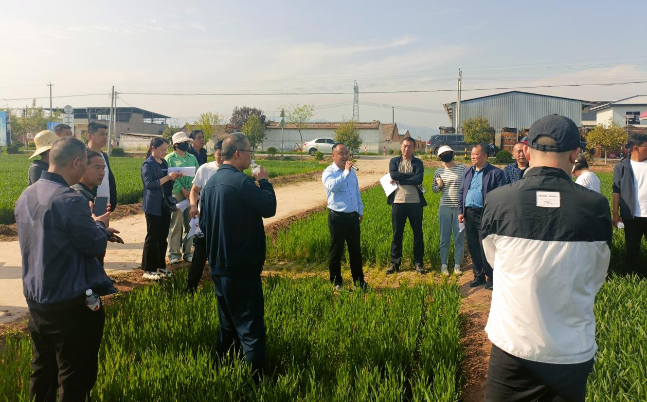 圖片1.png 圖片1.png