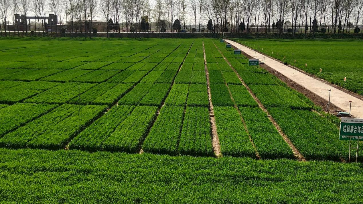 圖片3.png 圖片3.png