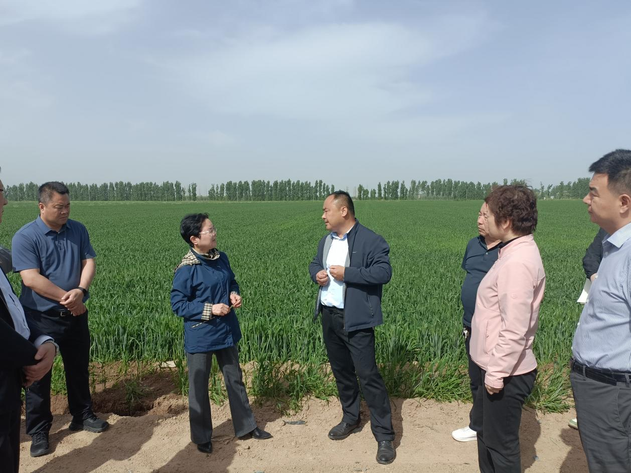 圖片1.png 圖片1.png