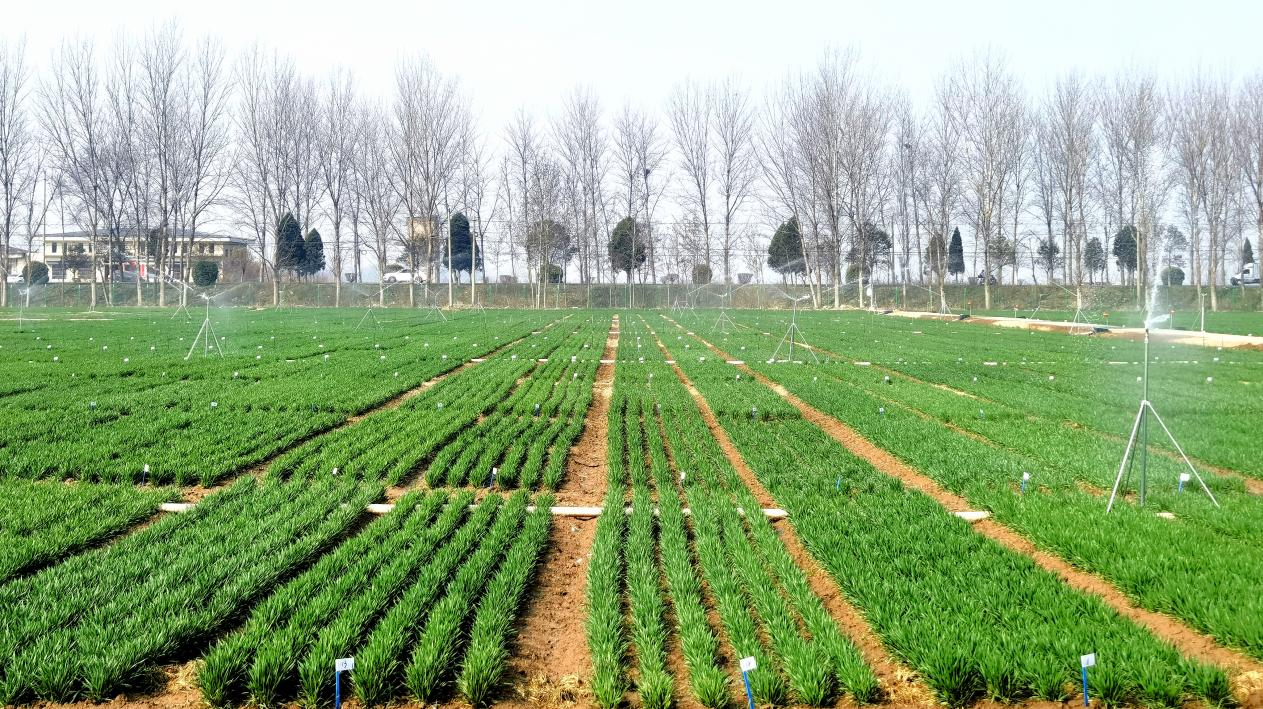 圖片2.png 圖片2.png