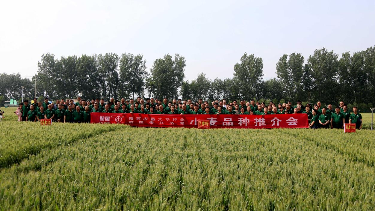 圖片3.png 圖片3.png