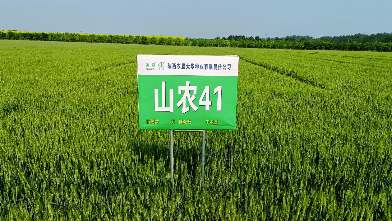 圖片3.png 圖片3.png