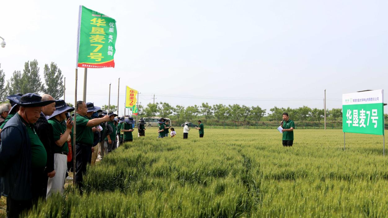 圖片2.png 圖片2.png